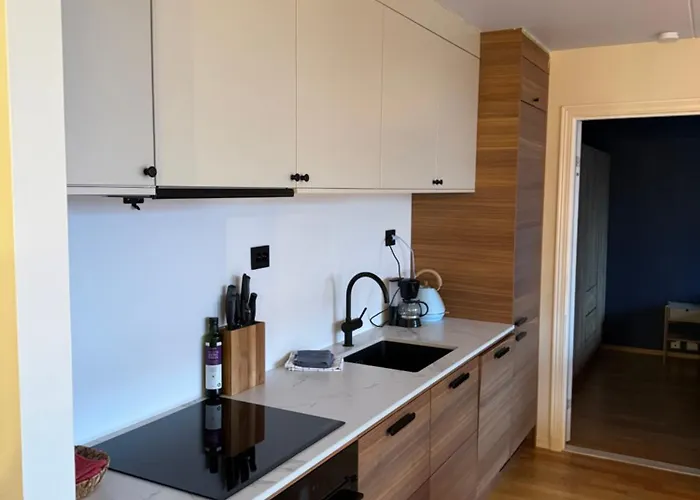 Cozy Lervig * סטוונגר